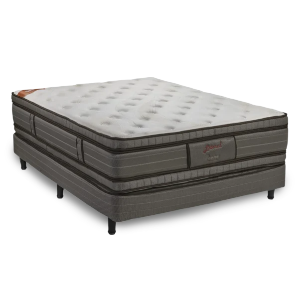 Sommier Plenitud Max | Espuma 150×190