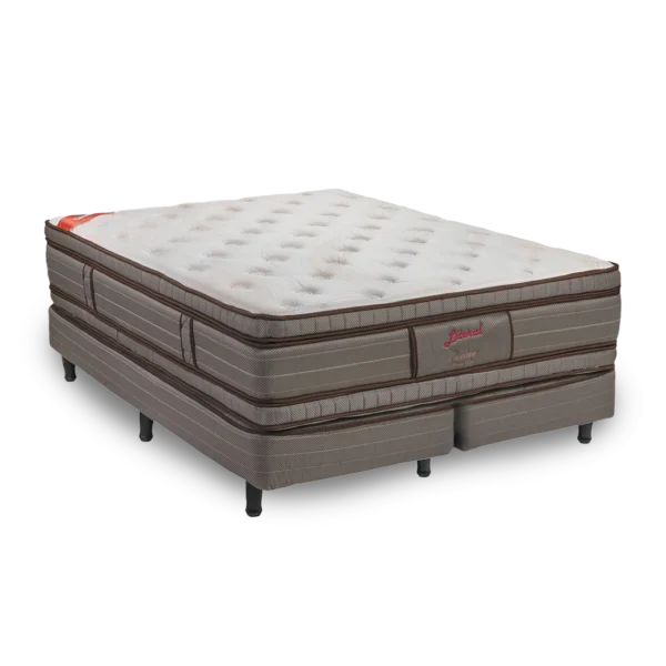 Sommier Plenitud Max | Espuma 200×200